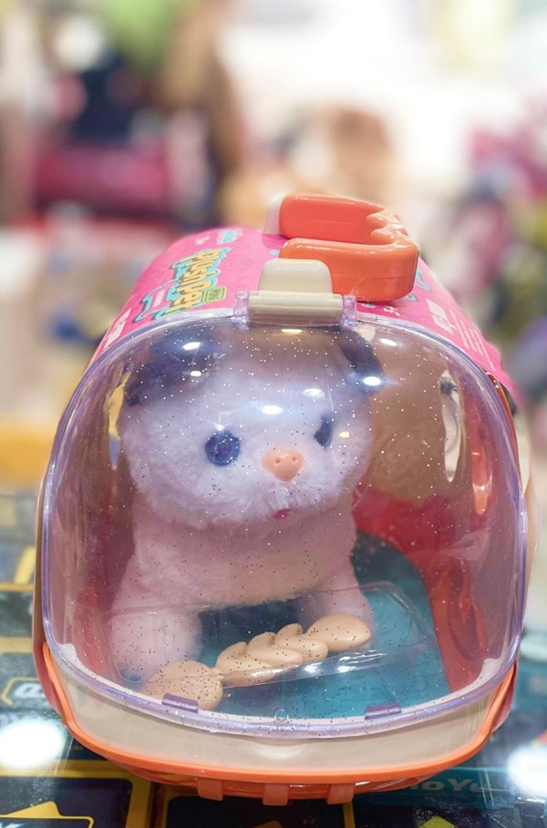 گربه خانگی به همراه قفس و وسایل آرایشی رنگ سفید قهوه ای کد 1062_عروسک رباتیک