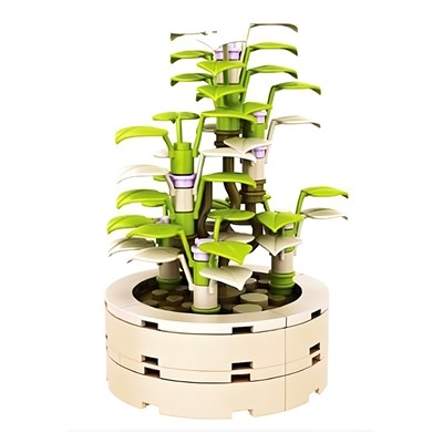 لگوی گلدان کاکتوس مدل 5253