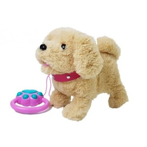 سگ کنترلی سخنگو و موزیکال قهوه ای Pet Play Set Toys_عروسک رباتیک