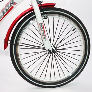 دوچرخه اورجینال کودک سایز 20 طرح دختر کفشدوزکی و گربه سیاه مدل جونیور JUNIOR_دوچرخه