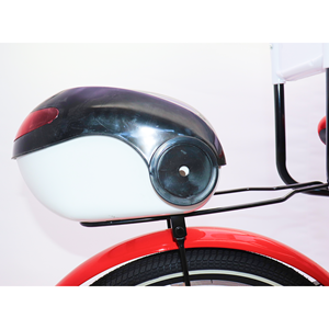 دوچرخه اورجینال کودک سایز 20 طرح دختر کفشدوزکی و گربه سیاه مدل جونیور JUNIOR_دوچرخه