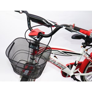 دوچرخه اورجینال کودک سایز 20 طرح دختر کفشدوزکی و گربه سیاه مدل جونیور JUNIOR_دوچرخه