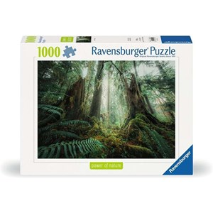 پازل 1000 قطعه راونزبرگر Ravensburger طرح جنگل افسون‌گر _لگو