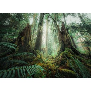 پازل 1000 قطعه راونزبرگر Ravensburger طرح جنگل افسونگر _لگو