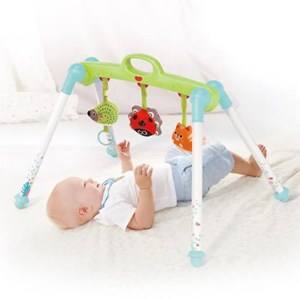 اسباب بازی پلی جیم هولی تویز مدل Hola Toys E288_ اسباب بازی نوزادی